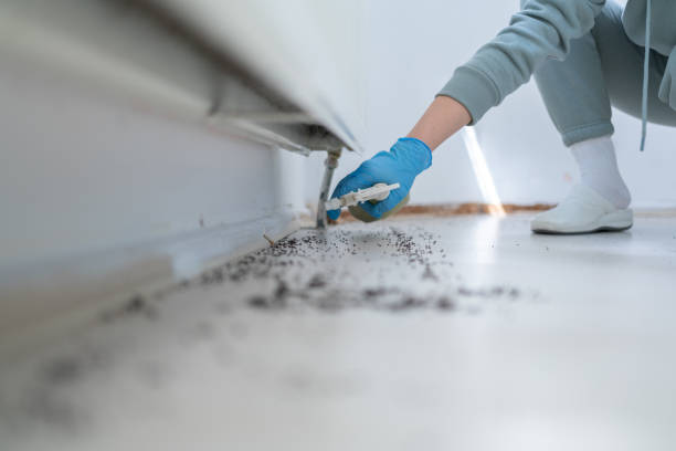 Pest Control Cost in White Bear Lake, MN